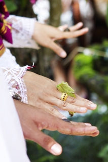 Bali-wedding0026